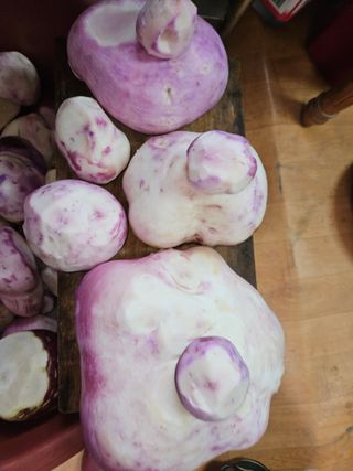 최선희님의 우리집 김장 자랑하기 · 참여글 작성글 사진