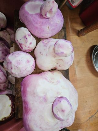 최선희님의 우리집 김장 자랑하기 · 참여글 작성글 사진