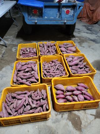 김옥열님의 자유주제 · 자유게시판 작성글 사진