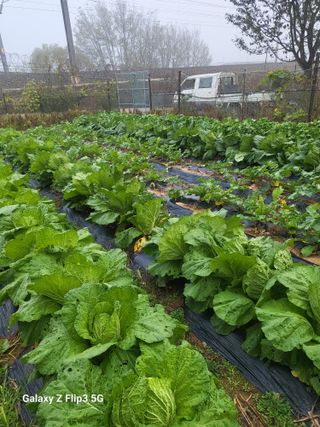 김옥열님의 자유주제 · 자유게시판 작성글 사진