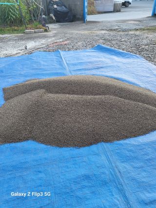 김옥열님의 자유주제 · 자유게시판 작성글 사진