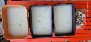 달맛햇복숭아농원님의 자유주제 · 자유게시판 작성글 사진