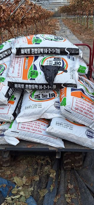 전진원님의 포도 · 영농일지 작성글 사진