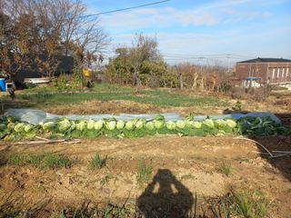 한학수님의 자유주제 · 자유게시판 작성글 사진