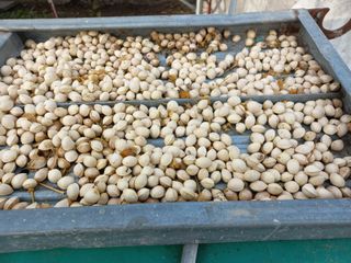 한학수님의 자유주제 · 자유게시판 작성글 사진