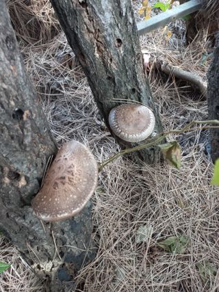 한학수님의 자유주제 · 자유게시판 작성글 사진