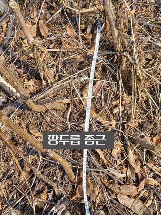 무료지식나눔 팜닥터님의 자유주제 · 자유게시판 작성글 사진