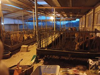 알 수 없음님의 자유주제 · 자유게시판 작성글 사진