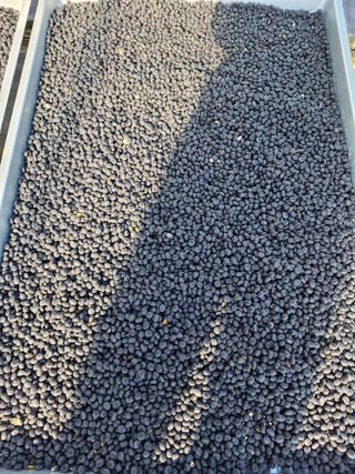 유옥자님의 작성글 사진