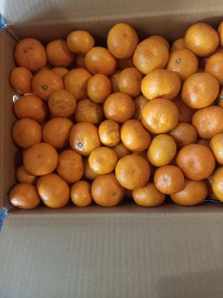 황금향님의 자유주제 · 자유게시판 작성글 사진