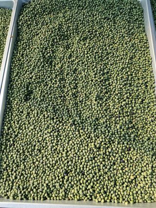 유옥자님의 작성글 사진