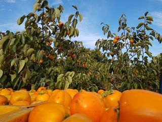 정수산님의 자유주제 · 자유게시판 작성글 사진