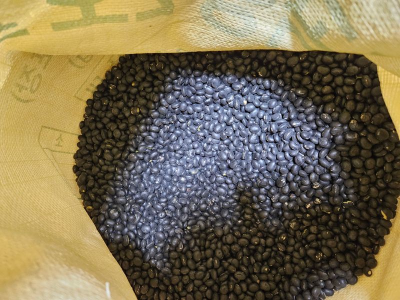 장터 상품 [속청 서리태  5kg 6만원 ] 썸네일