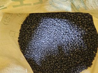 서병열님의 작성글 사진