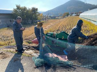 오작교농장님의 자유주제 · 자유게시판 작성글 사진