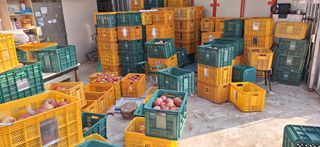 박원주(다원농장)님의 자유주제 · 자유게시판 작성글 사진