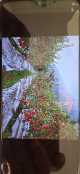 팜모닝 자유주제·자유게시판 게시글 이미지