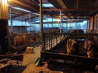 알 수 없음님의 자유주제 · 자유게시판 작성글 사진