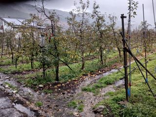 알 수 없음님의 자유주제 · 자유게시판 작성글 사진