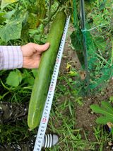 팜모닝 팜모닝·출석 게시글 이미지