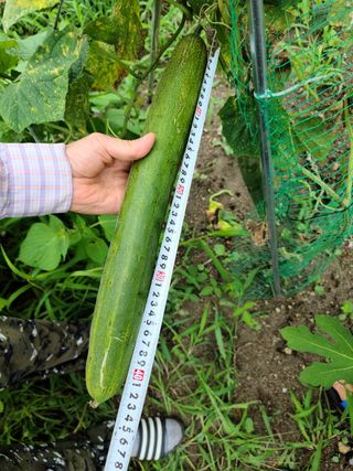 여행가자님의 팜모닝 · 출석 작성글 사진