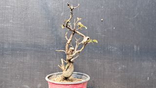 이정운님의 자유주제 · 자유게시판 작성글 사진