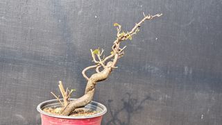 이정운님의 자유주제 · 자유게시판 작성글 사진