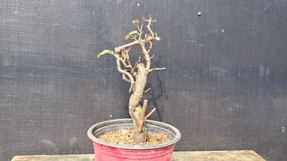 이정운님의 자유주제 · 자유게시판 작성글 사진