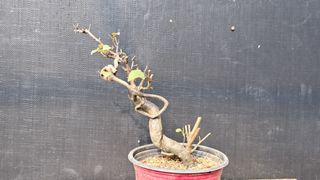 이정운님의 자유주제 · 자유게시판 작성글 사진