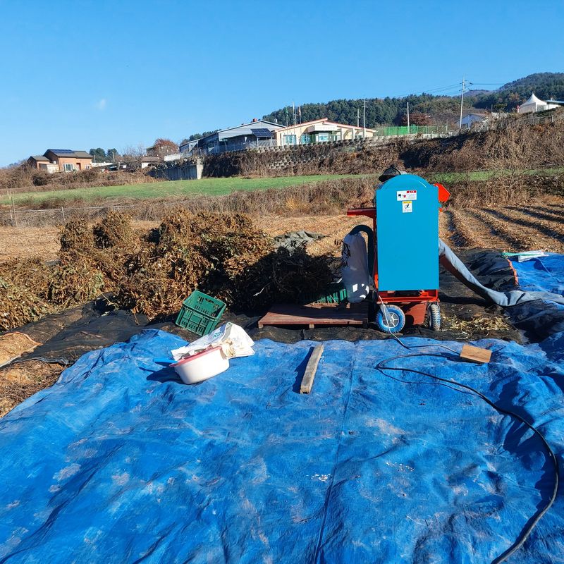 장터 상품 [완판되었습니다 토종 늦서리태8kg] 썸네일