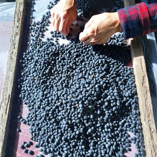 홍순원님의 작성글 사진