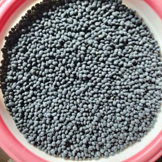 홍순원님의 작성글 사진