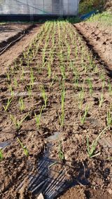 팜모닝 농한기 휴식 계획 공유하기·참여글 게시글 이미지