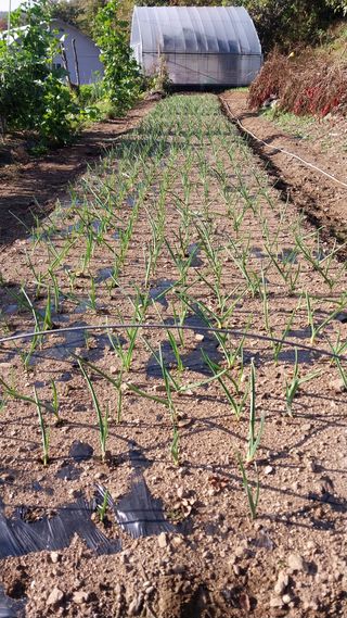윤홍규님의 농한기 휴식 계획 공유하기 · 참여글 작성글 사진