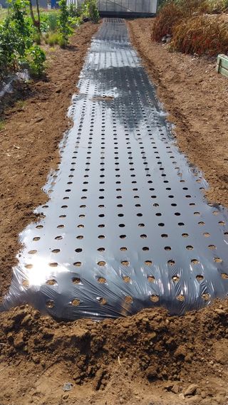 윤홍규님의 농한기 휴식 계획 공유하기 · 참여글 작성글 사진