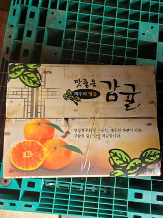 서귀포달코롬감귤농원님의 귤 · 시세•판로 작성글 사진