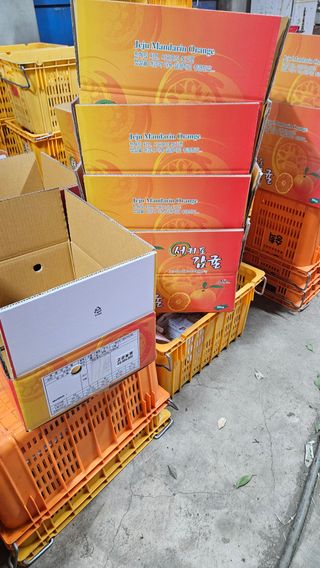 고강농원 강영자님의 귤 · 영농일지 작성글 사진