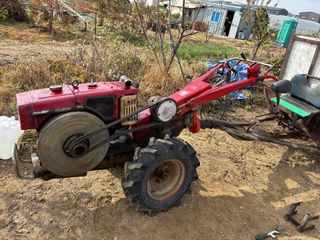 토끼풀님의 자유주제 · 자유게시판 작성글 사진