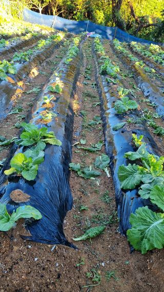 오주연님의 자유주제 · 자유게시판 작성글 사진