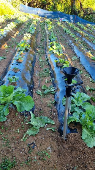 오주연님의 자유주제 · 자유게시판 작성글 사진