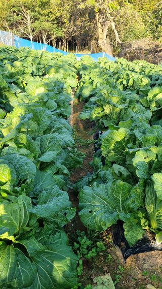 오주연님의 자유주제 · 자유게시판 작성글 사진