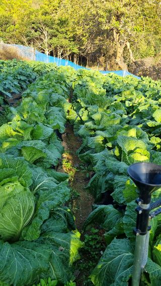 오주연님의 자유주제 · 자유게시판 작성글 사진