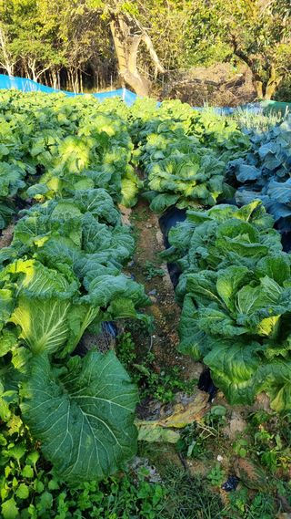 오주연님의 자유주제 · 자유게시판 작성글 사진