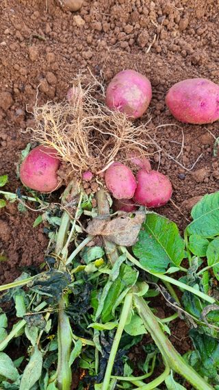 오주연님의 자유주제 · 자유게시판 작성글 사진