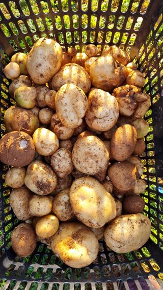 오주연님의 자유주제 · 자유게시판 작성글 사진