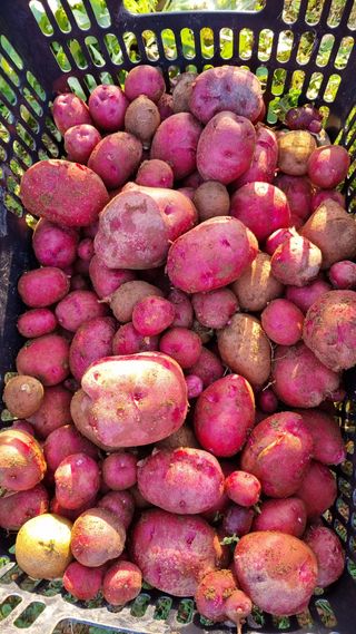 오주연님의 자유주제 · 자유게시판 작성글 사진