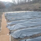 팜모닝 농한기 휴식 계획 공유하기·참여글 게시글 이미지