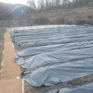 산곡동농장님의 농한기 휴식 계획 공유하기 · 참여글 작성글 사진