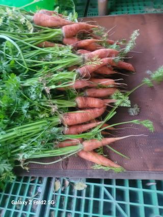 최덕병님의 기타작물 · 영농일지 작성글 사진