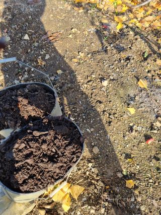 김용대님의 자유주제 · 자유게시판 작성글 사진